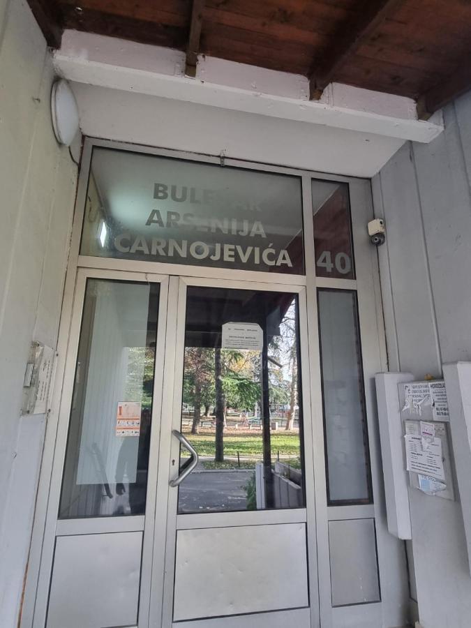Apartament Hawaii- 2 Bdr, Arena, Sava Centar, Free Parking Belgrad Zewnętrze zdjęcie